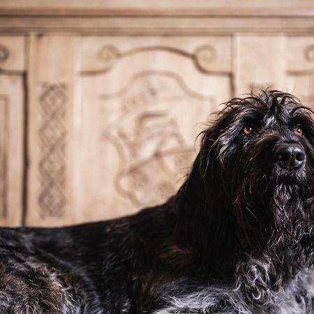 Hotel Ladinia ラ・ヴィッラ エクステリア 写真